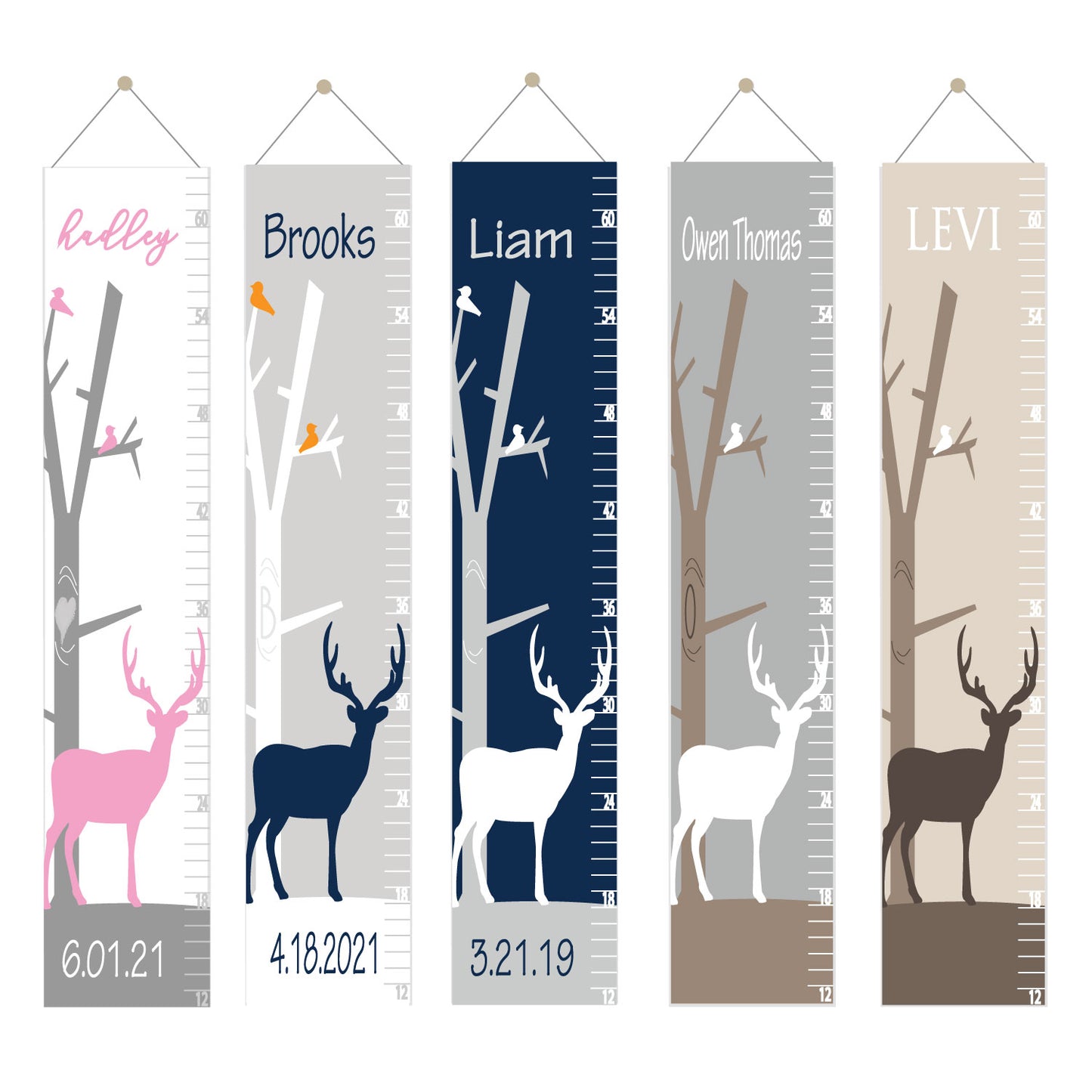 Deer Growth Chart